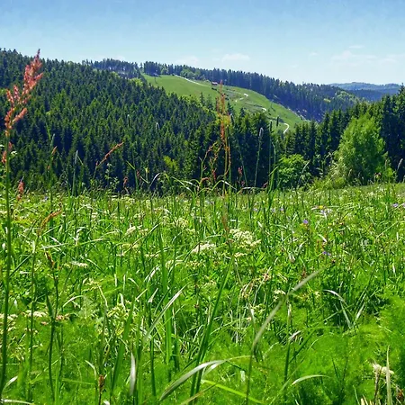 Ferienhauspark * 哈瑟尔费尔德